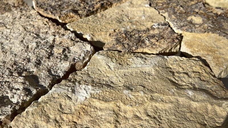 Parement mural en pierre naturelle d'Or