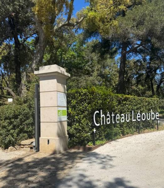 Pierre de Bourgogne AMPILLY – Dallage pour rénovation de bâtiments anciens