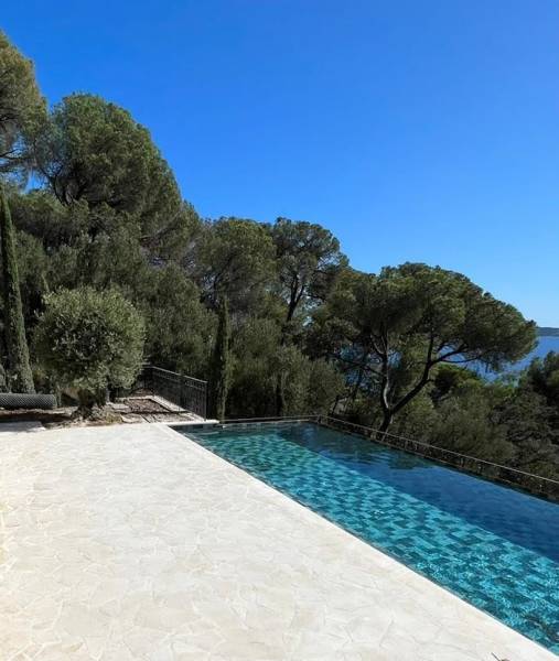 Dallage en Pierre Naturelle : Sublimez vos espaces extérieurs et intérieurs par francepierre.fr