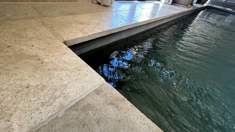 Margelle de Piscine en Travertin pierre naturelle : Élégance et Durabilité pour Votre Espace Aquatique