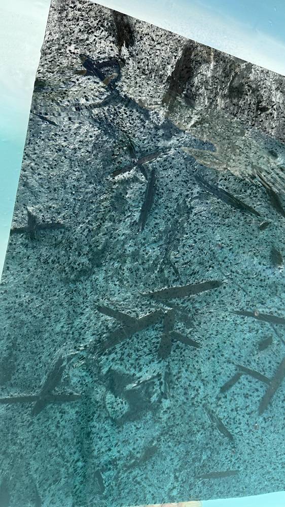 La pierre de Bali en quartzite est une option de plus en plus prisée pour les piscines grâce à ses nombreuses qualités esthétiques et fonctionnelles. Si vous envisagez de rénover votre espace piscine, voici pourquoi cette pierre naturelle pourrait être le